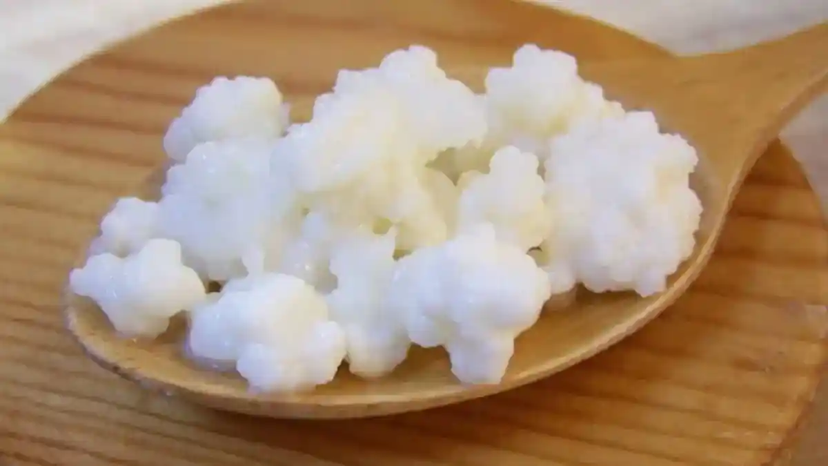 Kefir