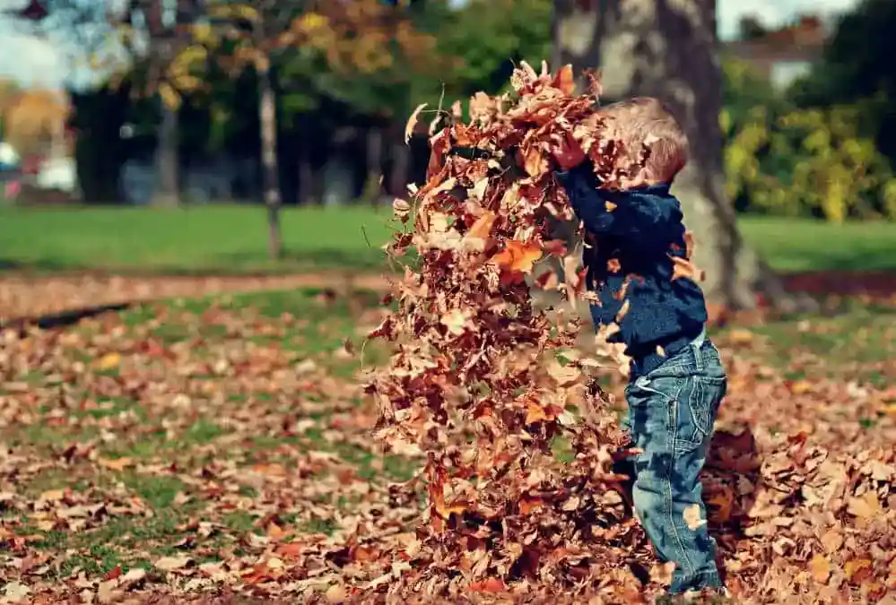 5 Benefícios de estimular seu filho a brincar ao ar livre