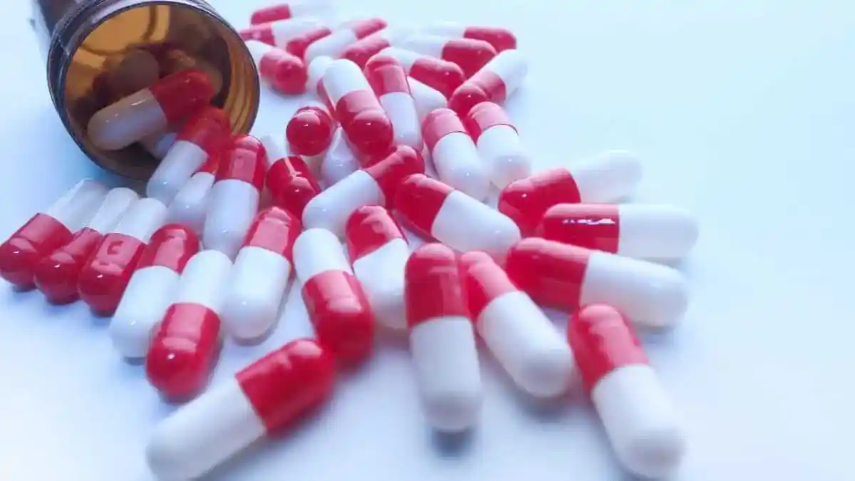 Lista com melhores remédios naturais para emagrecer rápido