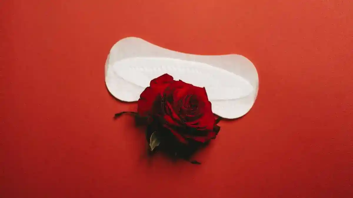 Menstruação