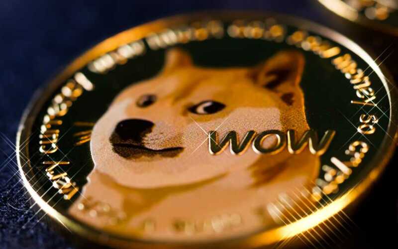 O que é criptomoeda Baby Doge Coin