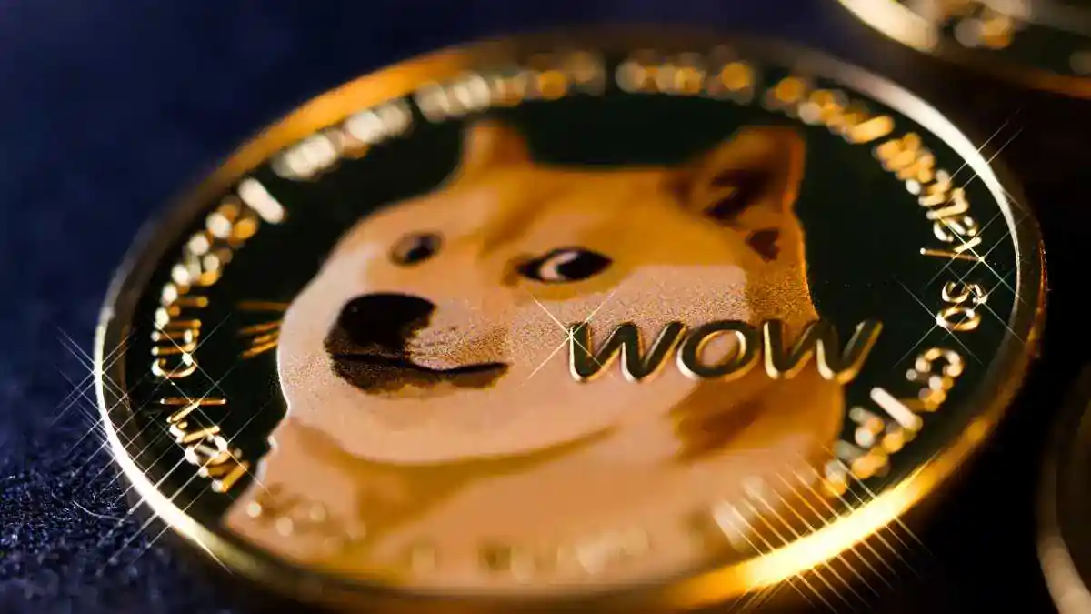 O que é criptomoeda Baby Doge Coin